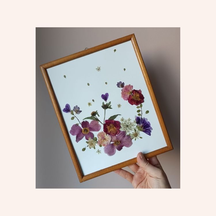 Herbier de septembre N°1